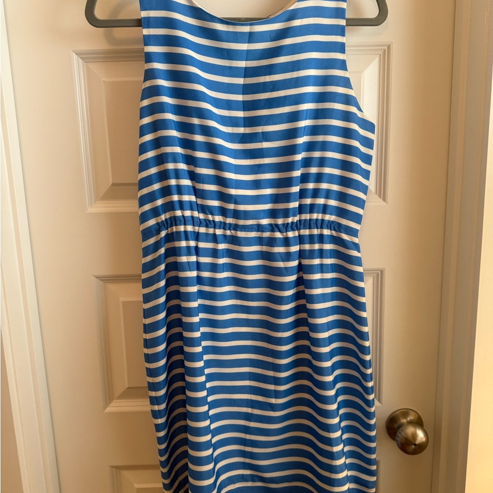 J. Crew Blue and White Striped Dress